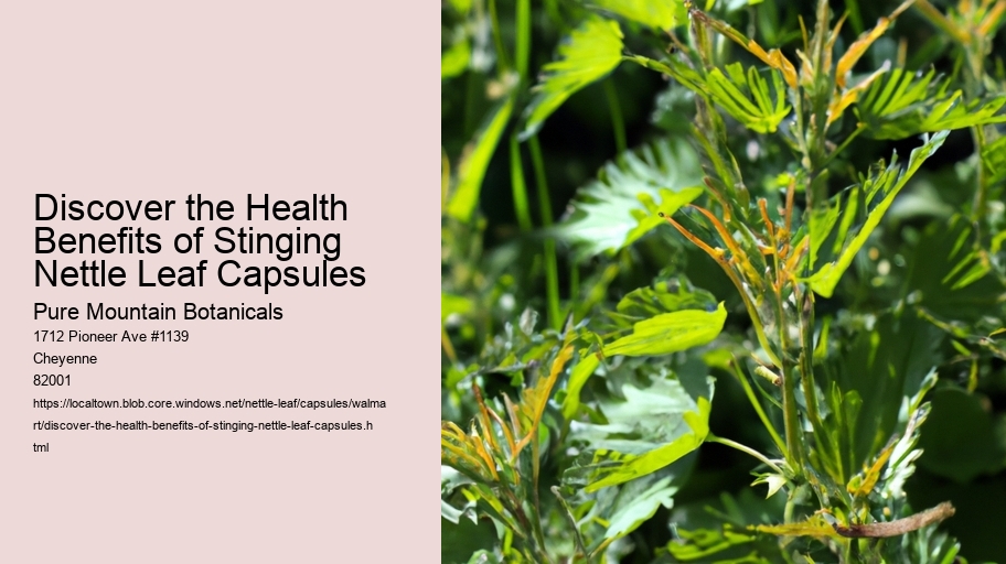 Discover the Health Benefits of Stinging Nettle Leaf Capsules