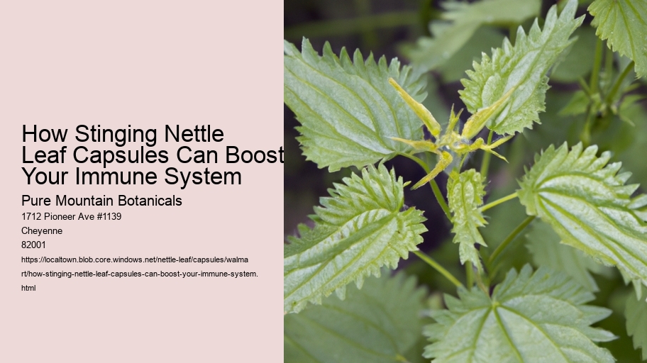 How Stinging Nettle Leaf Capsules Can Boost Your Immune System