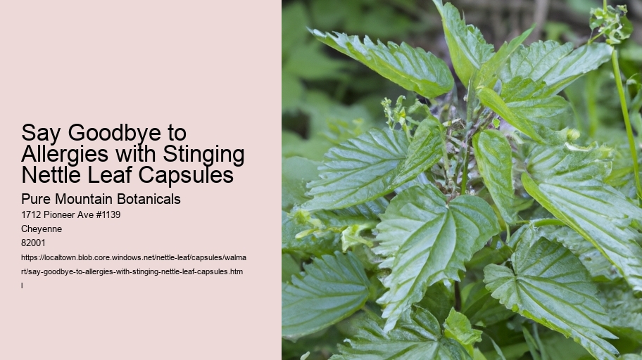Say Goodbye to Allergies with Stinging Nettle Leaf Capsules