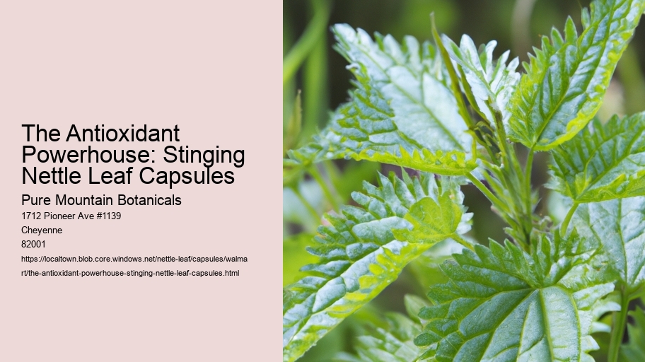 The Antioxidant Powerhouse: Stinging Nettle Leaf Capsules