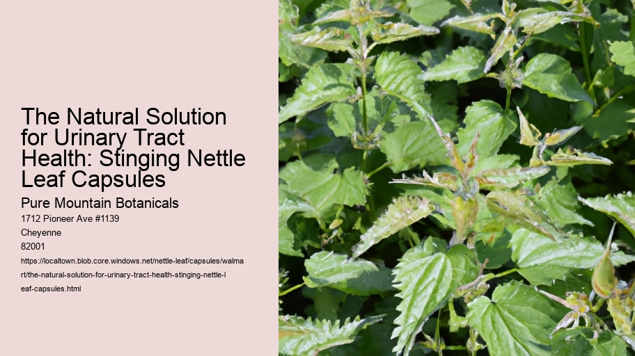 The Natural Solution for Urinary Tract Health: Stinging Nettle Leaf Capsules